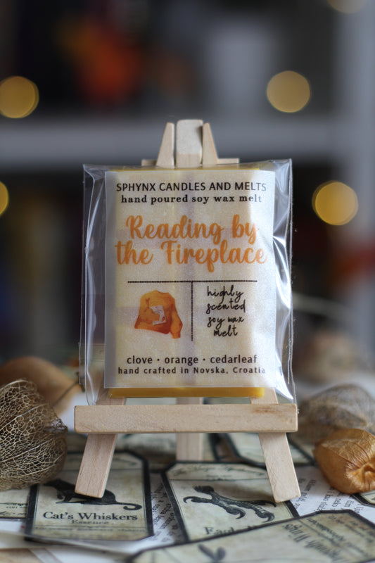 Reading by the Fireplace vosak za topljenje