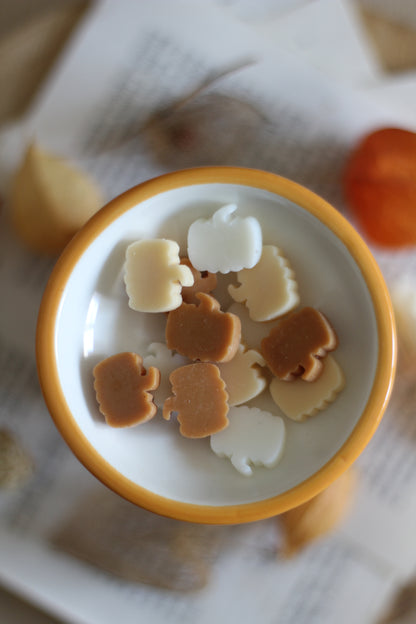 Pumpkin Spice Latte aroma lampa