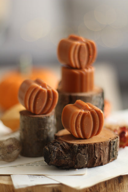 Pumpkin Spice Pie vosak za topljenje