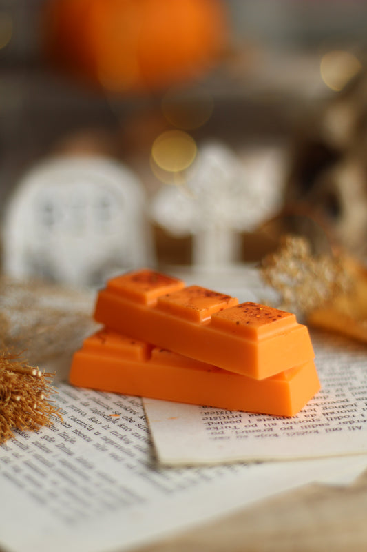Pumpkin Spice and Everything Nice vosak za topljenje