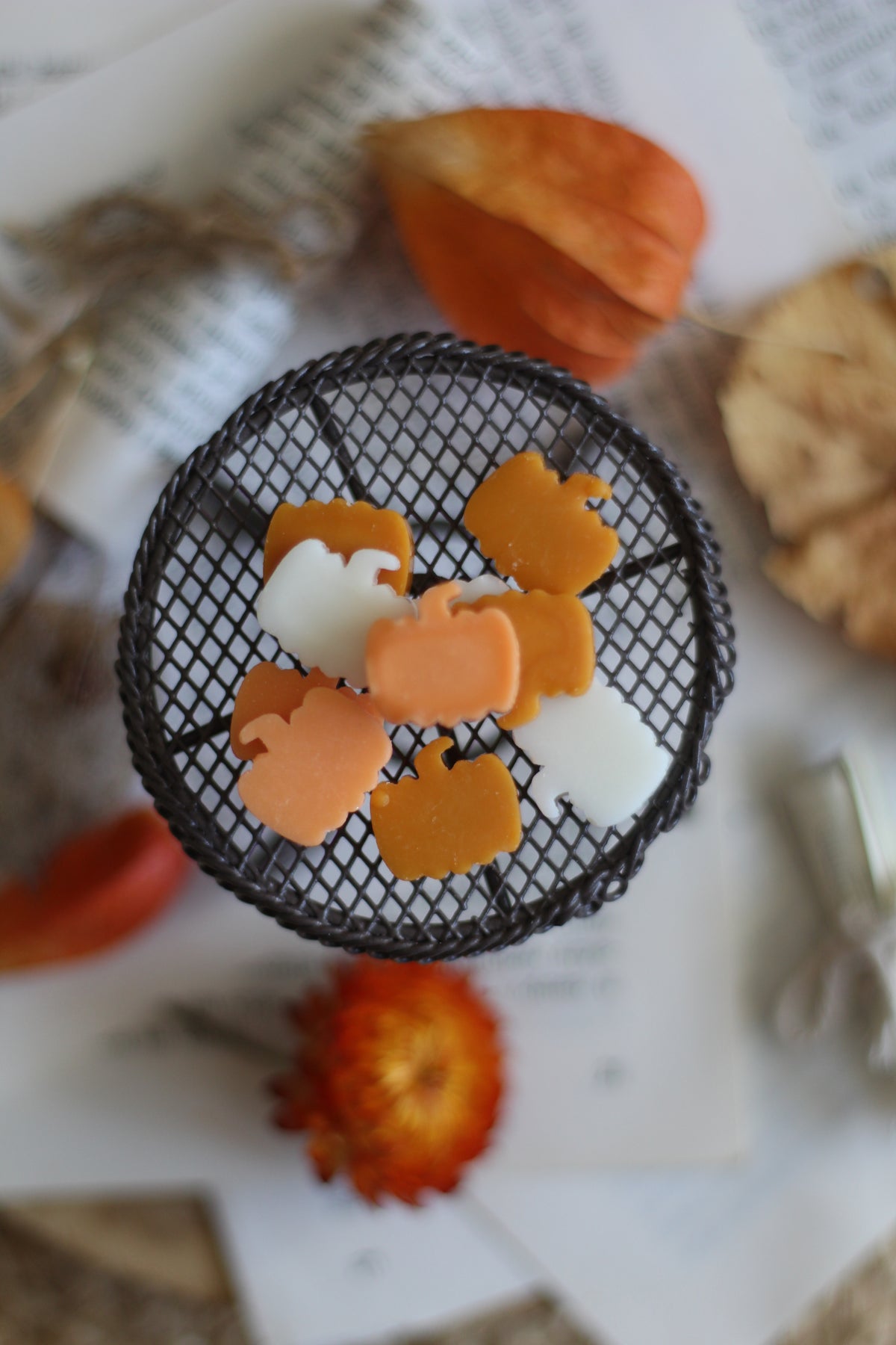 Hello Pumpkin vosak za topljenje